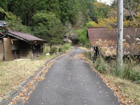 20141108hike (42)